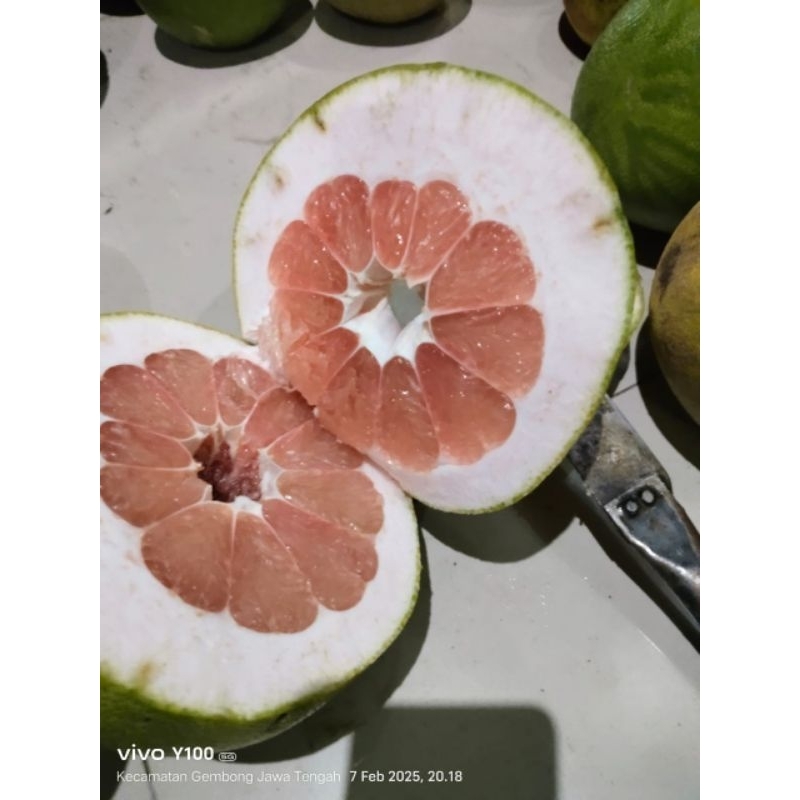 

jeruk pamelo madu berat 1kg -1,2kg