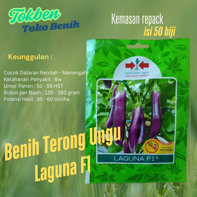 50 Biji - Benih Terong Ungu Laguna F1 kemasan repack