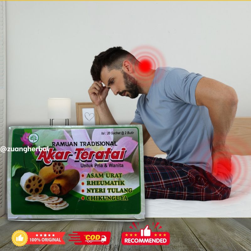 

Ramuan Tradisional | Akar Teratai | Untuk Asam Urat Pegal Linu