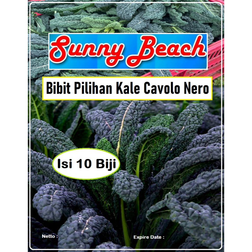 Bibit Pilihan Kale Cavolo Nero | Biji Benih Kale Cavolo Nero