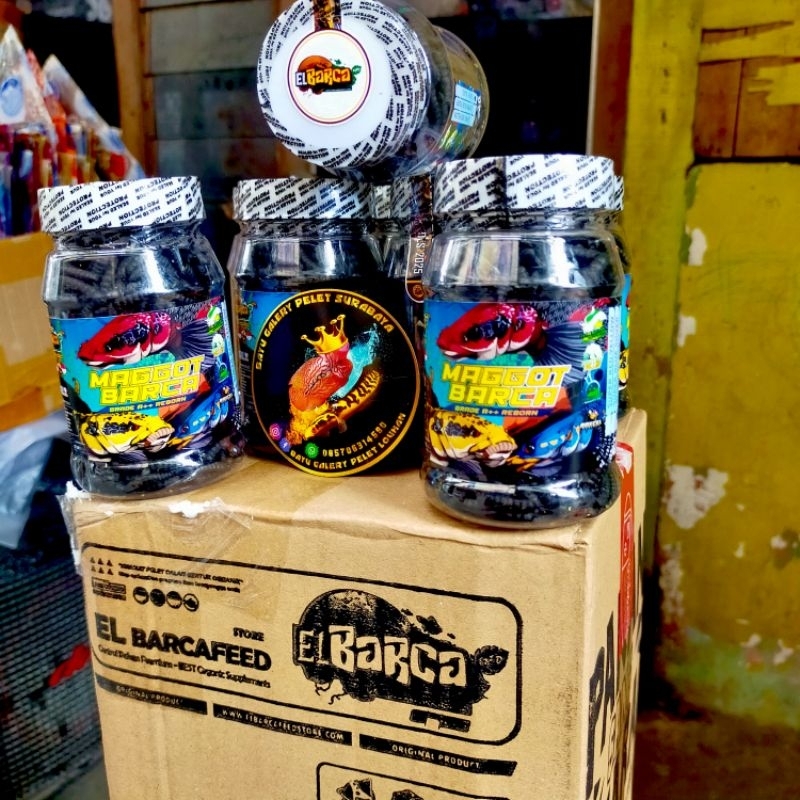 Maggot BARCA Maggot Super Black, Maggot Blue, Maggot Red-Yellow, Maggot ELBARCA Maggot BSF Grade A++