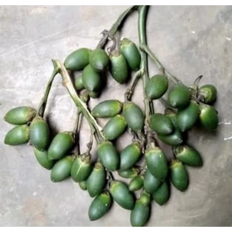 

Buah Pinang / Buah Jambe Muda Segar