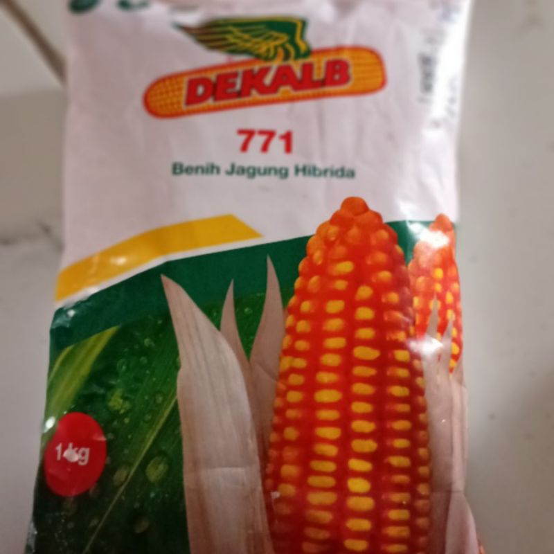BENIH JAGUNG DEKALB 771 kemasan 1KG