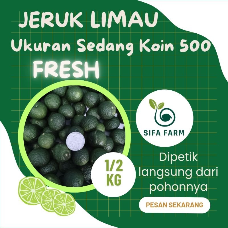 

Sifa Farm Jeruk Limau | Limo | Sambal 1/2 Kg Ukuran Sedang Koin 500 Fresh
