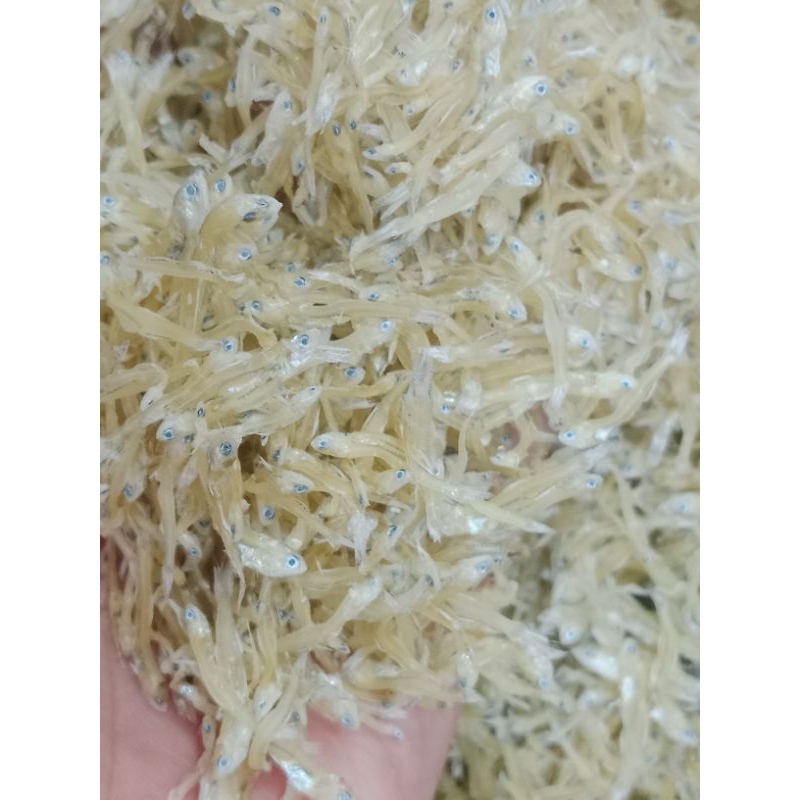 

teri nasi medan