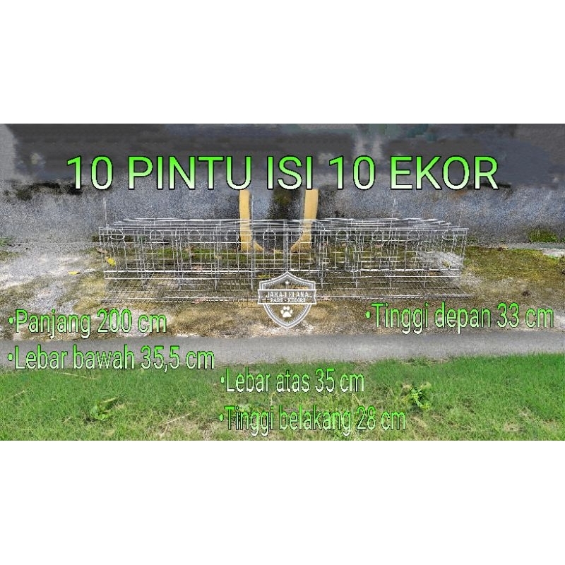 KANDANG LAYER BATERAY AYAM PETELUR ISI 10 EKOR 10 PINTU