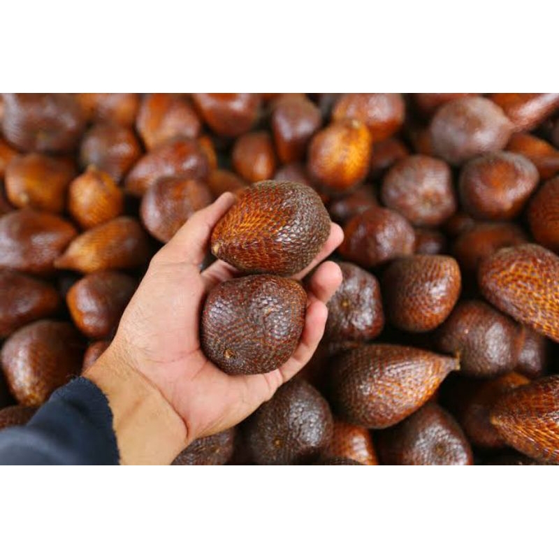 

Salak kalimantan pontianak 1kg/ buah salah kalimantan pontianak 1kg