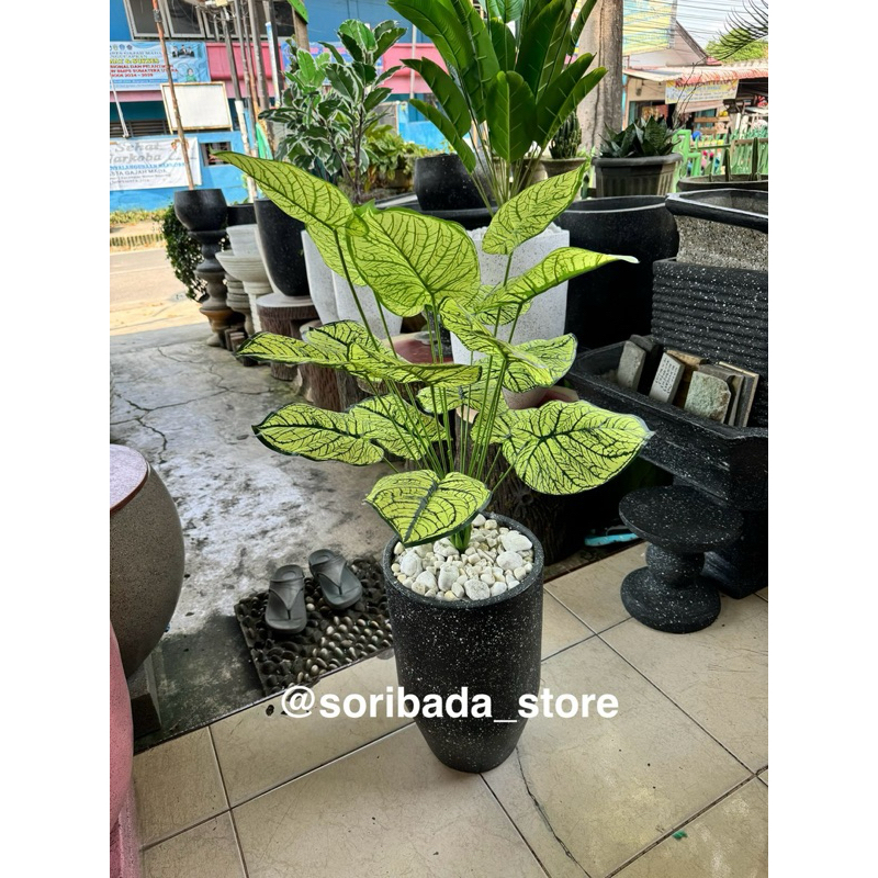 Bunga Hias Keren | Bunga Aglonema Hias | Bunga Hias | Dekorasi Rumah | Hiasan Rumah HARGA BELUM TERM