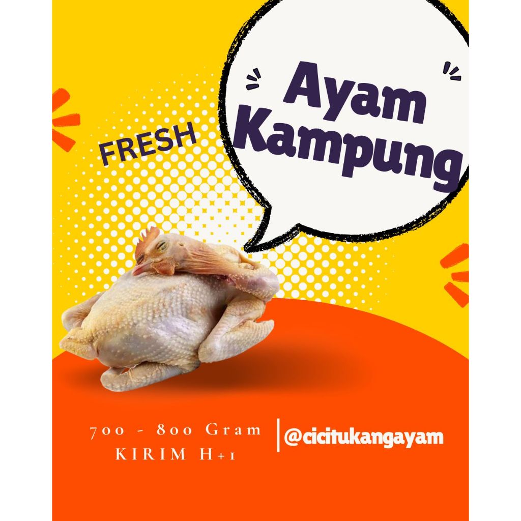 

Ayam Kampung