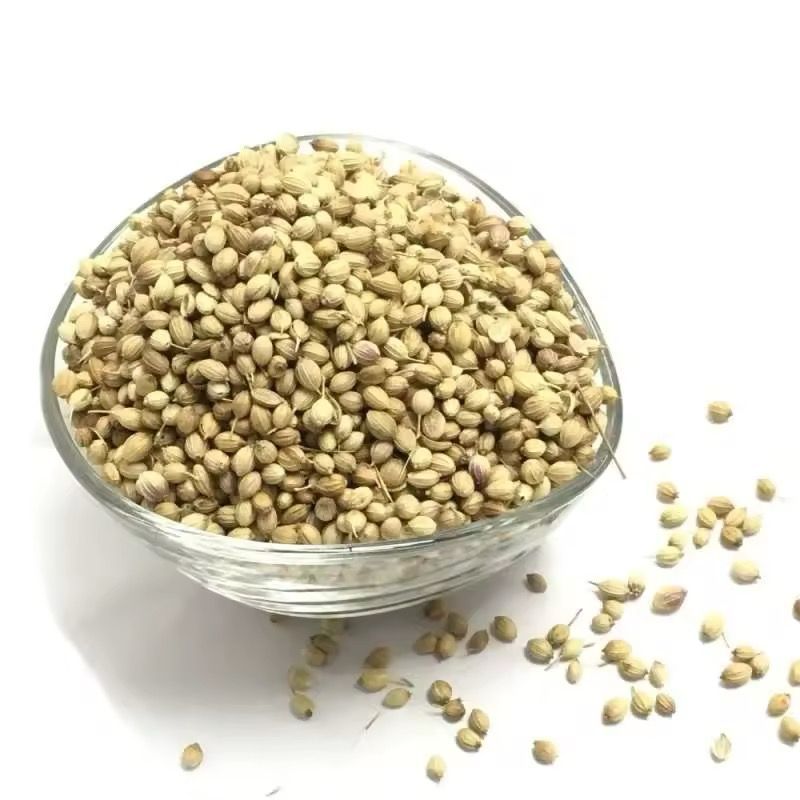 

Ketumbar Biji / Coriander MURNI - 250 (Kualitas SUPER)
