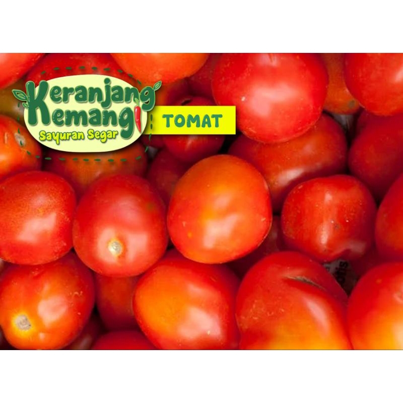 

Tomat Merah Segar