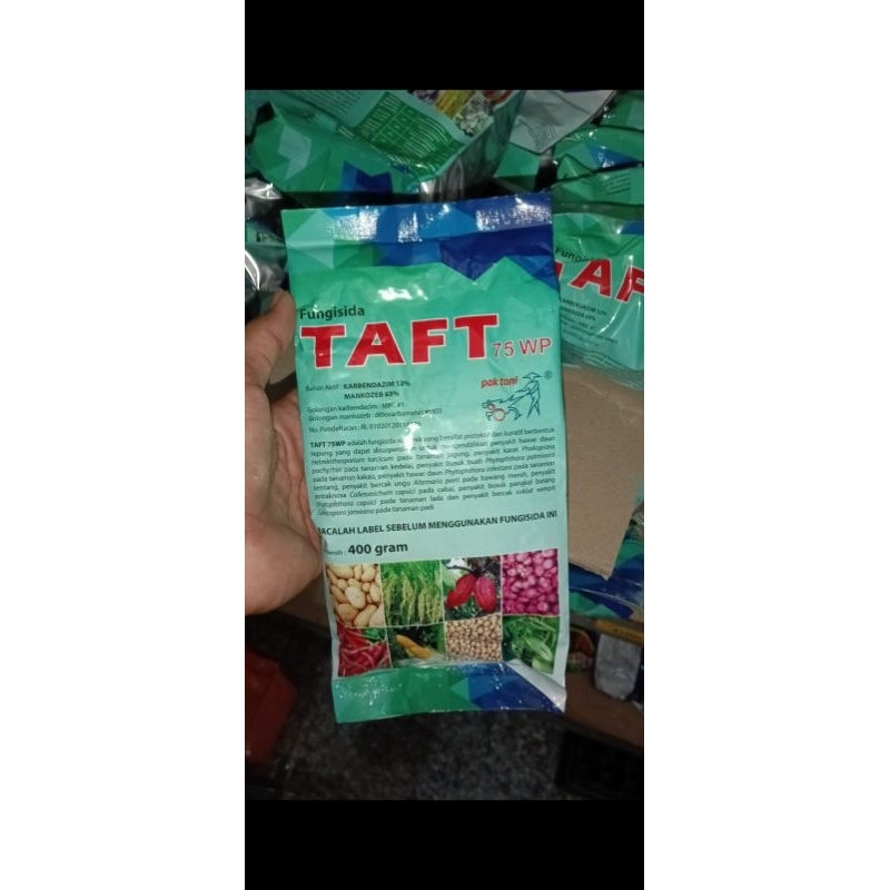 Fungisida Taft 75 WP