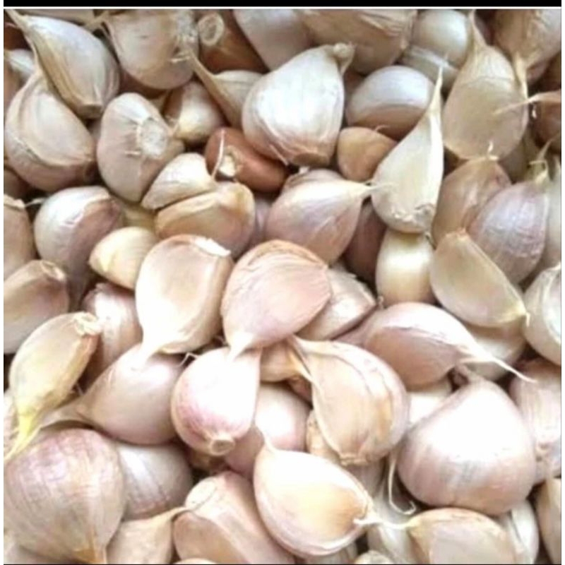 

Bawang Kating super 1kg