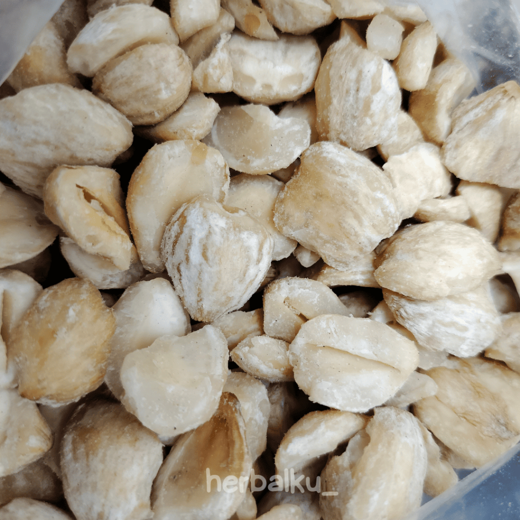 

Kemiri Pecah Higiensis Tanpa Bahan Pengawet