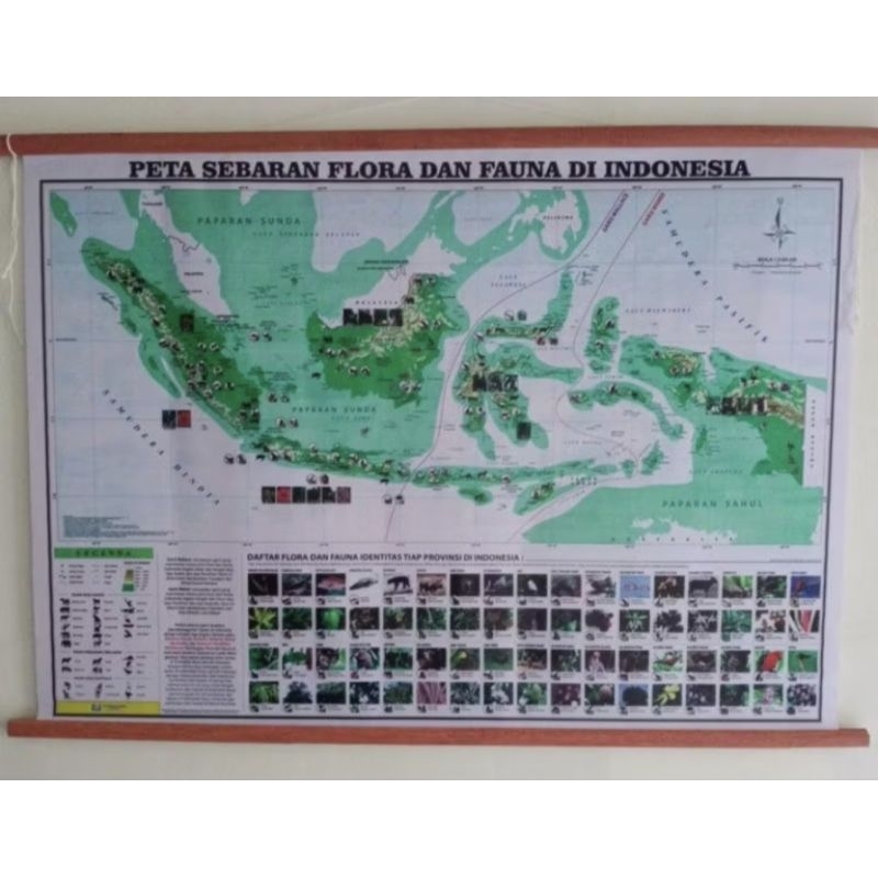 

Peta Bingkai Sebaran Flora dan Fauna Di Indonesia Jumbo
