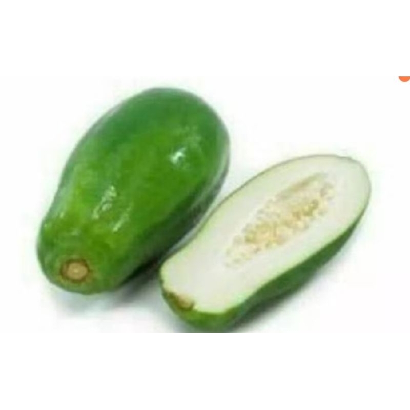 

buah pepaya mentah buat sayur