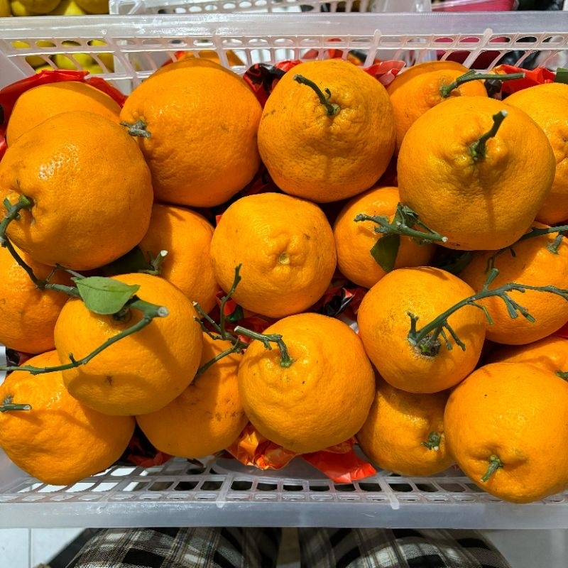 

1 Kg Jeruk Dekopon / Pagagan ( Manis )