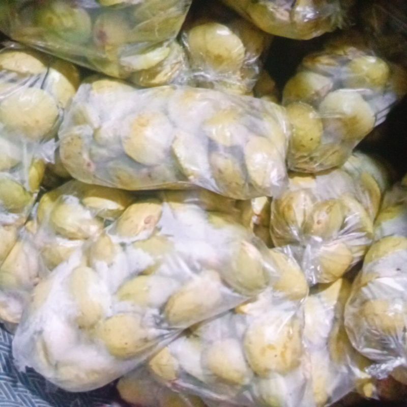 

Jengkol Ngora