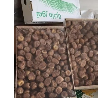 

Kurma sukkari premium 3 kg lebih