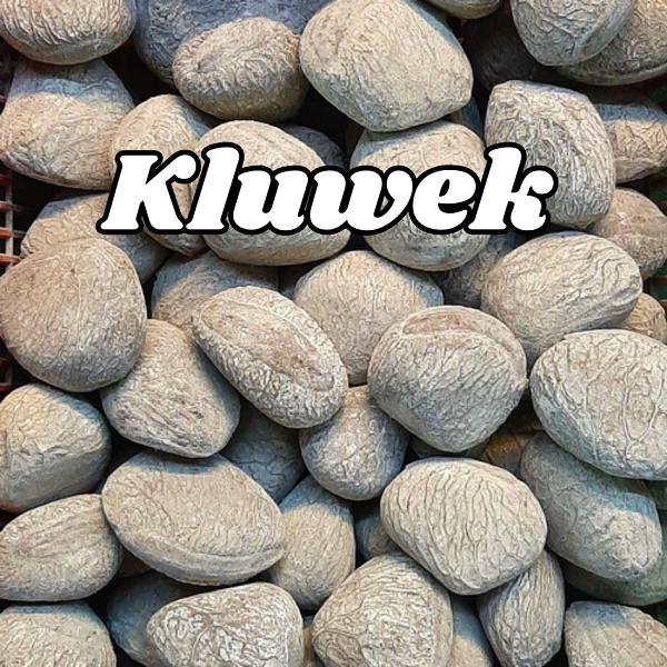 

Kluwek / Kepayang Untuk Bumbu Rawon, sop konro, brongkos, dan soto grombyang