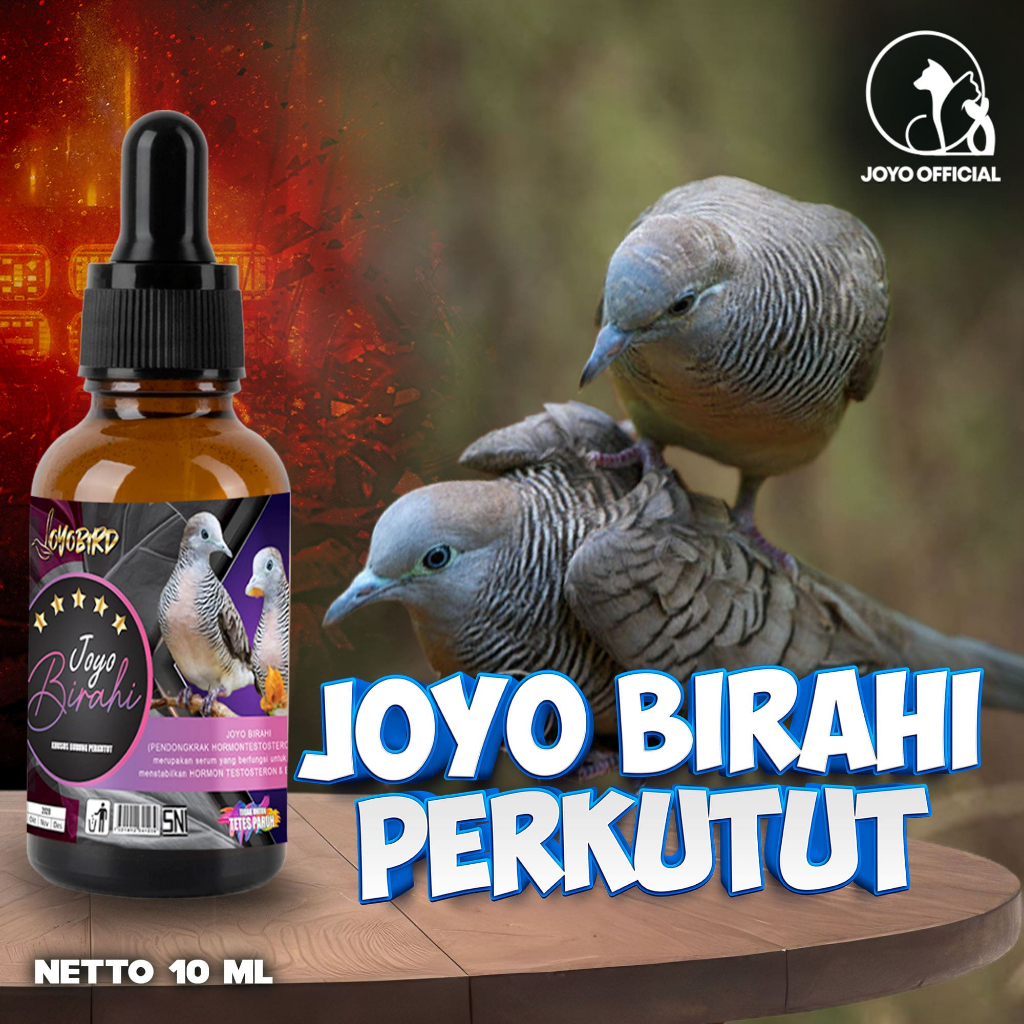 OBAT BURUNG PENDONGKRAK BIRAHI PERKUTUT | VITAMIN BURUNG PENDONGKRAK BIRAHI TESTOTERON & ESTEROGEN |