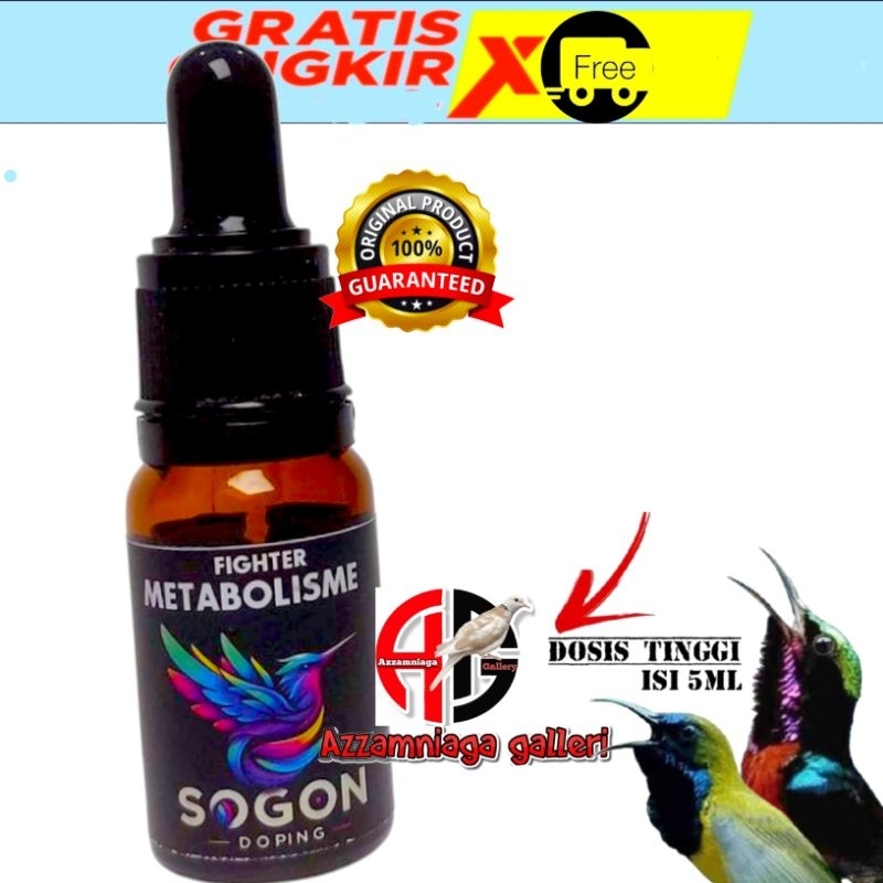 NEW METABOLISME FIGHTER SOGON METABOLISME PLECI RBU