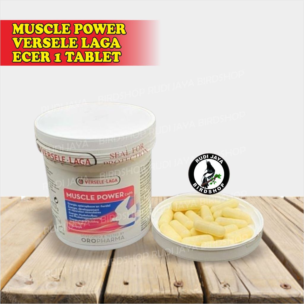 MUSCLE POWER VERSELE LAGA VITAMIN SUPLEMEN OBAT MEMBENTUK OTOT BURUNG MERPATI BALAP LOMBA STAMINA