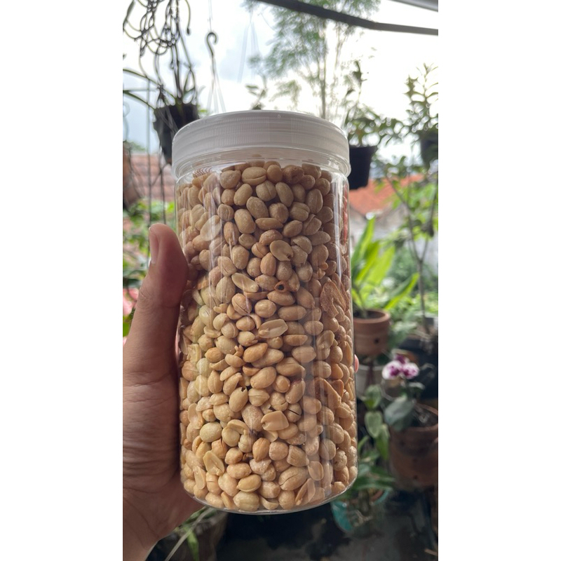 

Kacang Goreng Bawang Premium 500gr