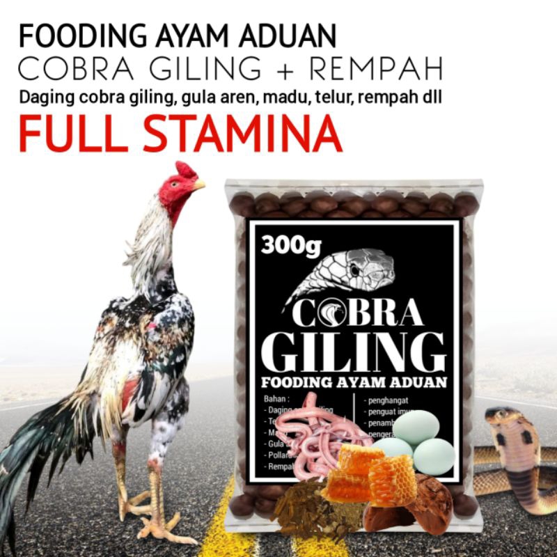 doping stamina ayam Bangkok