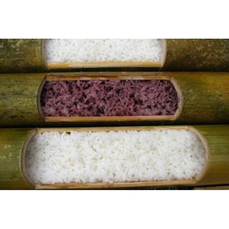 lemang bambu,masak nasi bambu,jual bambu  lemang asli bambu terlaris