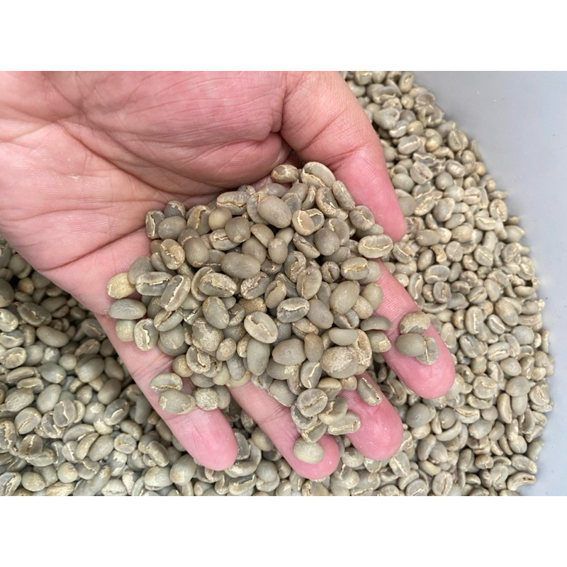 

GB specialty flores bajawa washed 10 kg