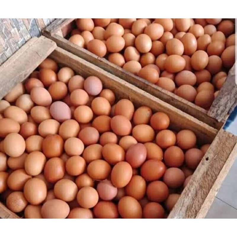 

Telor ayam'negri'fresh