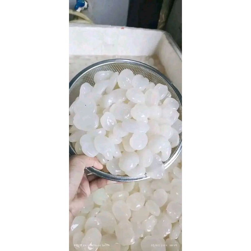 

kulang Kaling /caruluk fres&instan 1kg,2kg,3kg