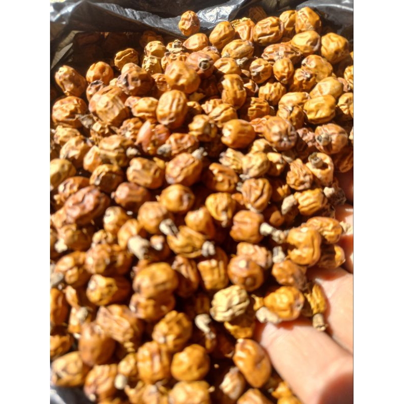

buah laja / lengkuas kering termurah
