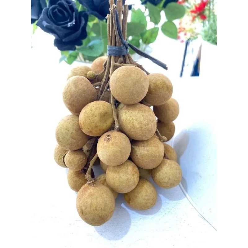 

buah lengkeng/kelengkeng/mata kucing segar 1kg