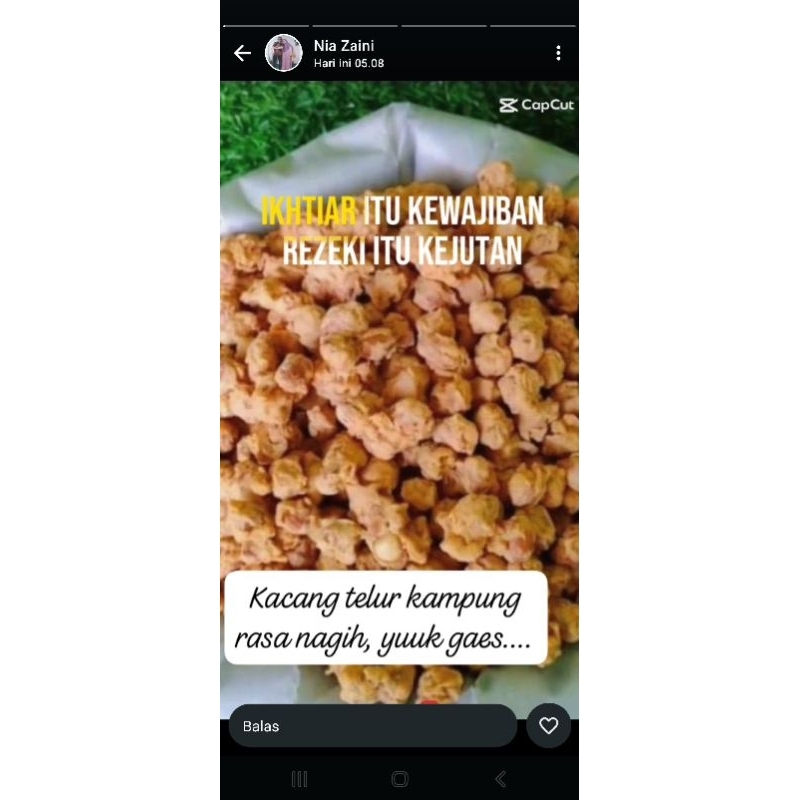 

Kacang telor premium