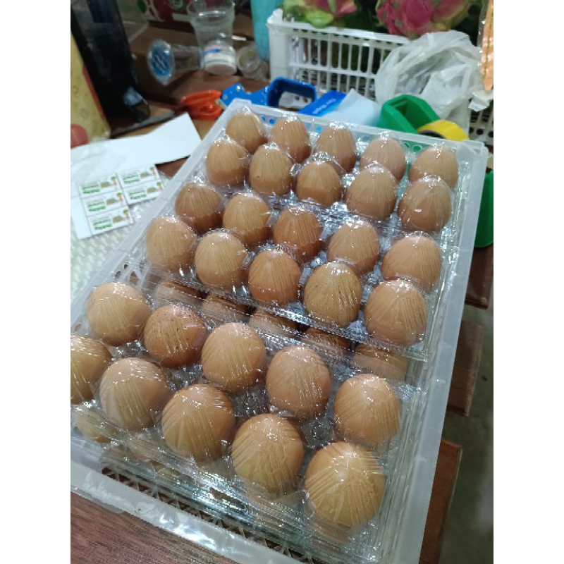Red Egg atau telur omega