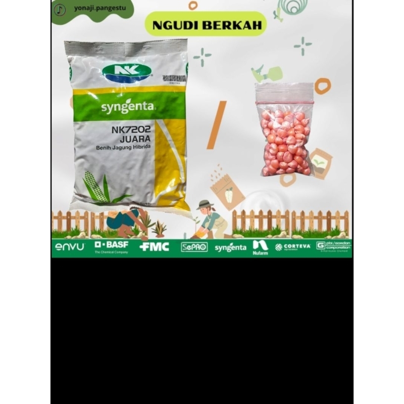 NK JUARA benih jagung unggul