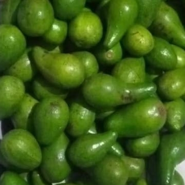 

Alpukat Mentega isi 3-4 Per Kg