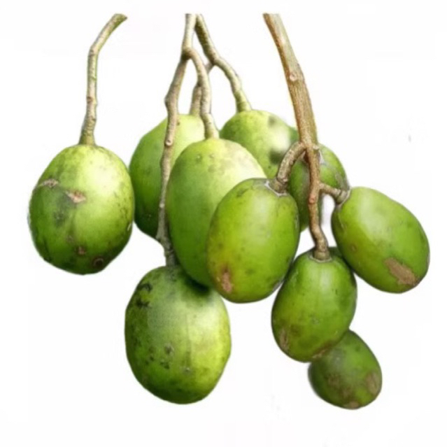 

KEDONDONG LOKAL 1KG / 3KG
