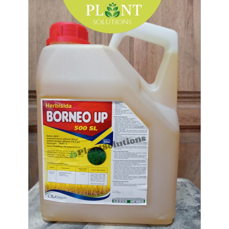 Herbisida Borneo Up 500SL 5L Mengendalikan Gulma Rumput
