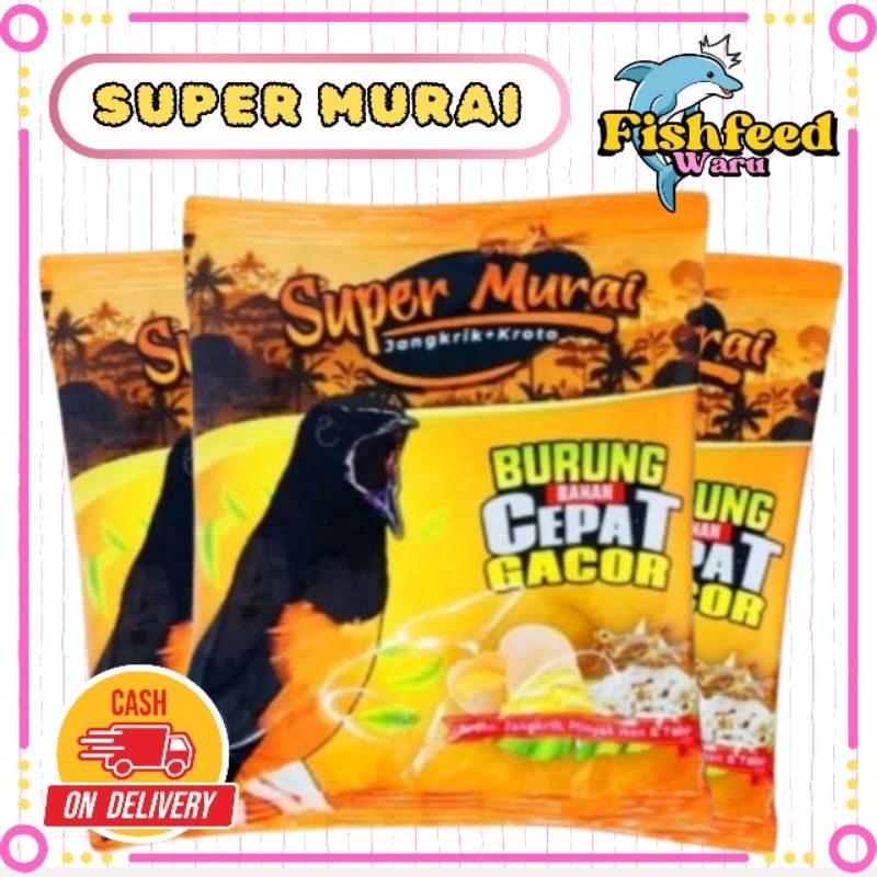 Super Murai Voer Penggacor Burung Murai