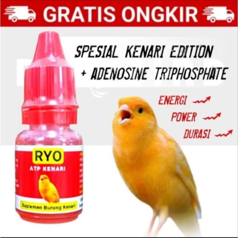 Ryo ATP kenari suplement burung canary energi power durasi gacor ngerol vitamin burung