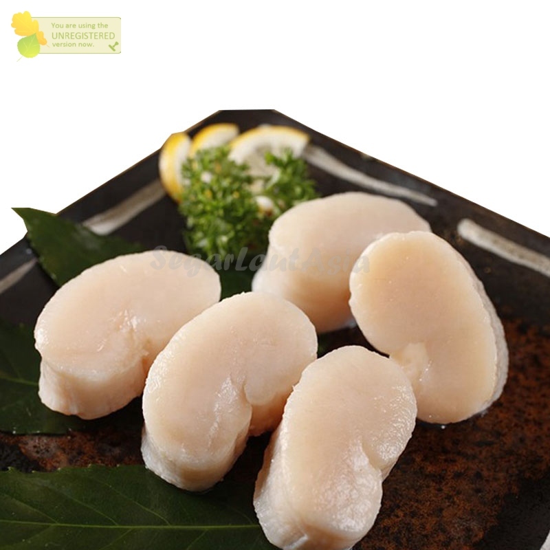 

Scallop Kapak Daging Kerang Kapak Kerang Kupas Seafood Kerang Laut Segar 1Kg