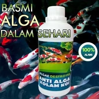 Algae Distoyed, Anti Algae Anti lumut dan Parasit Obat Pembasmi Lumut Kolam ikan hias dan Aquarium 5