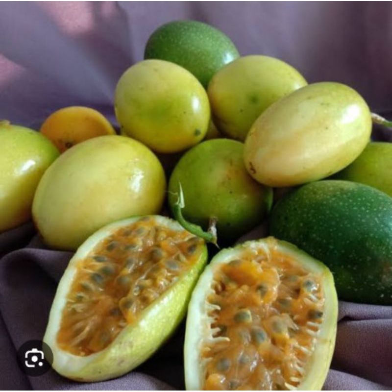 

promo buah markisa asam segar per 1 kg