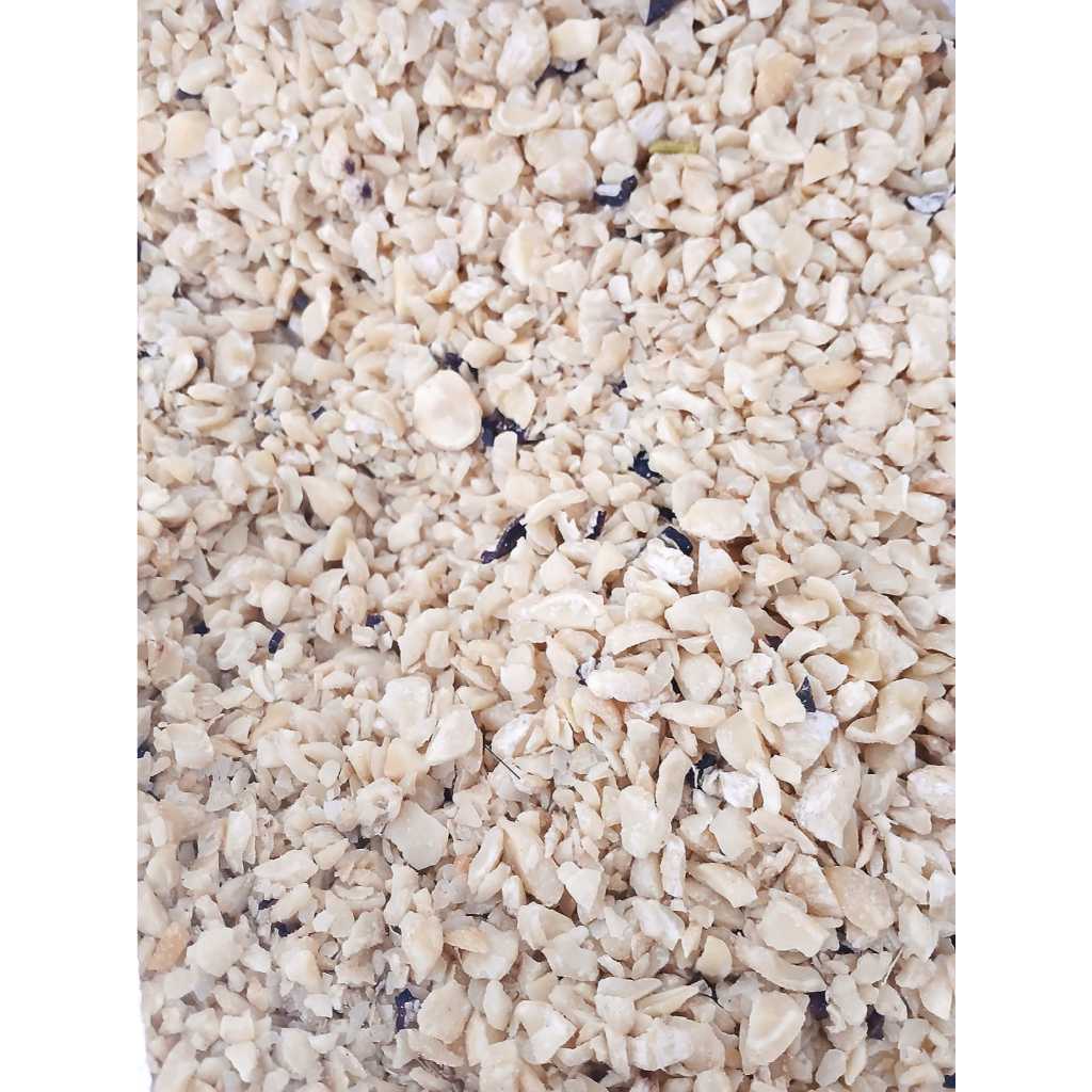 

Kemiri Menir 1 Kg
