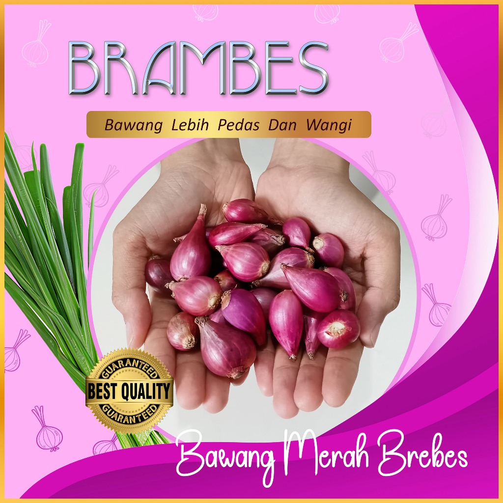 

Bawang Merah Brebes Kecil 1KG - Wangi dan Rasa Lebih Pedas