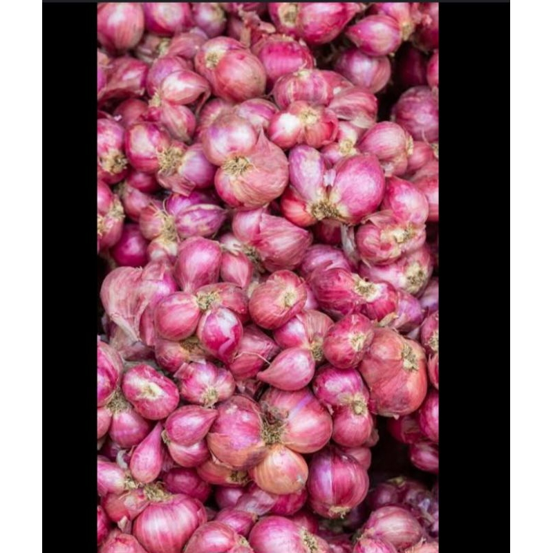 

bawang merah/bawang merah kering
