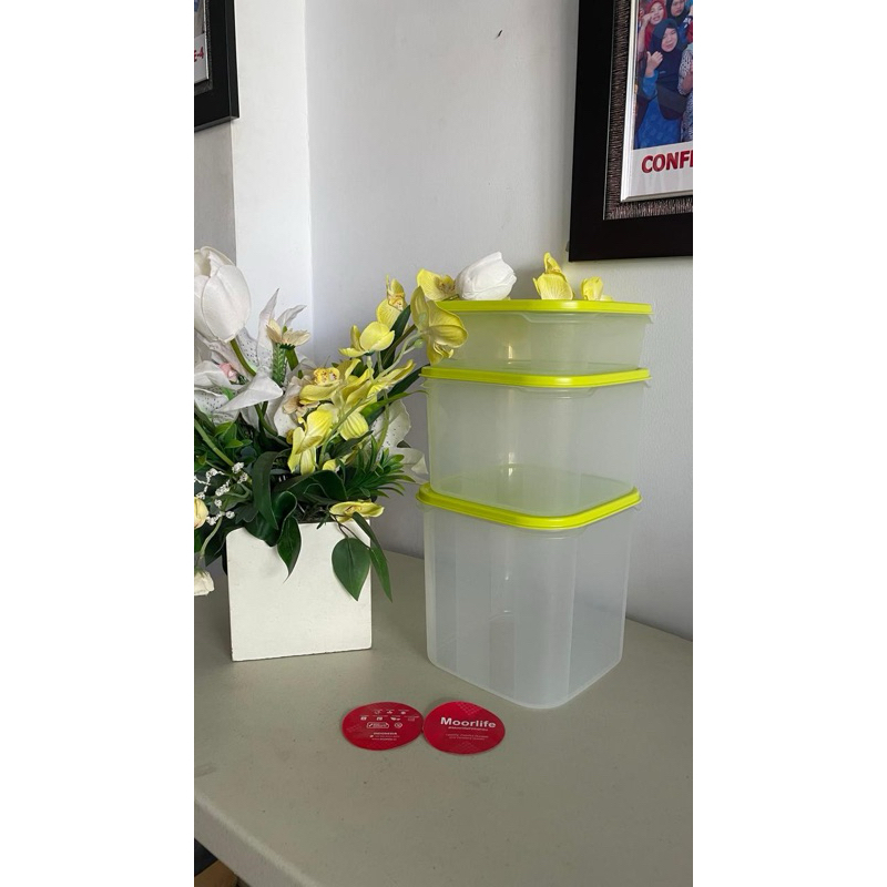 Moorlife_ Toples Valdio